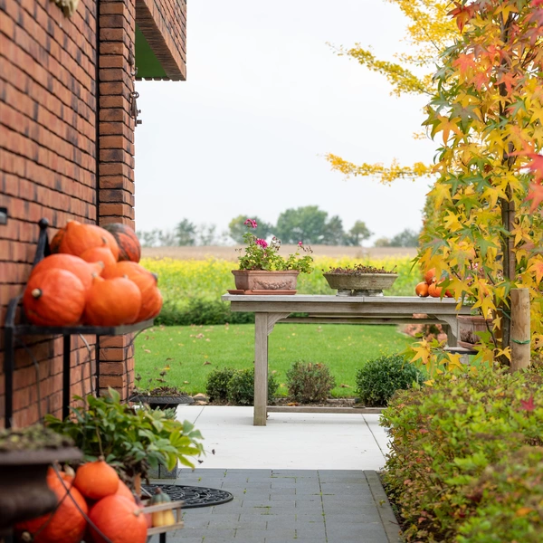 Application image for Veelzijdige tuin in herfstsfeer
