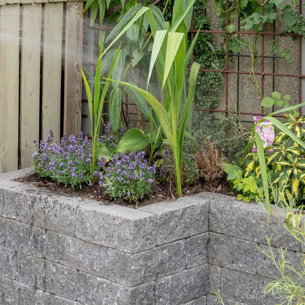 Application image for Jardin de ville accueillant à Hasselt : megategel Smooth et Cliffstone